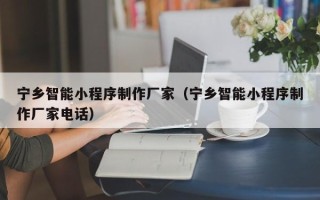 垦利宁乡智能小程序制作厂家（宁乡智能小程序制作厂家电话）