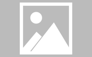 垦利网站建设许昌论坛（许昌网站seo）